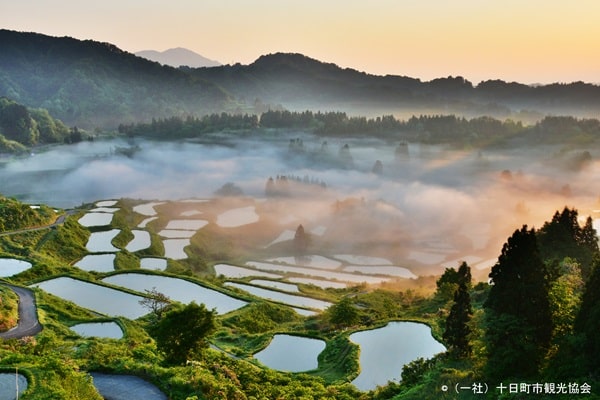 星峠の棚田