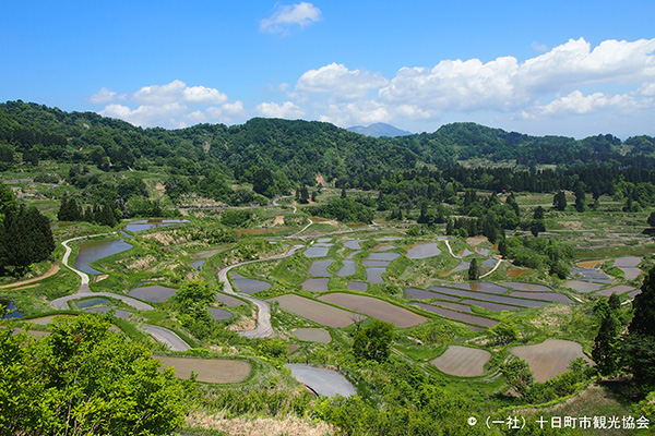 TANADA-rice field terraces-