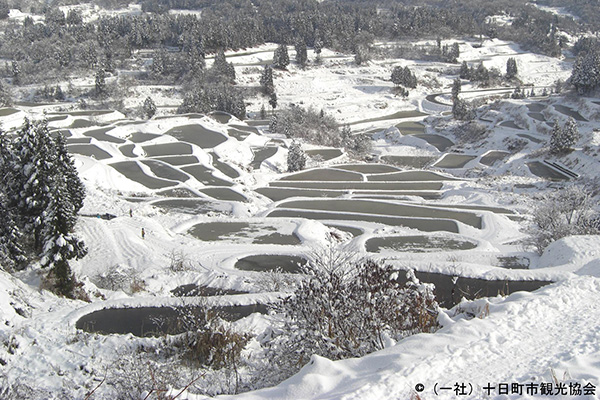 TANADA-rice field terraces-