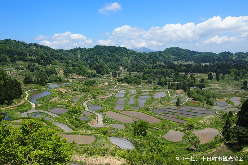 TANADA-rice field terraces-