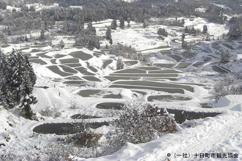 TANADA-rice field terraces-