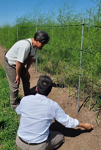 新潟の生産者とともに2