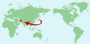 子どもたちの手にランドセルが到着！