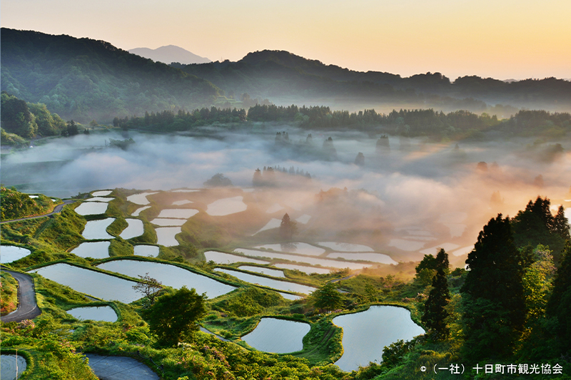 TANADA-rice field terraces-
