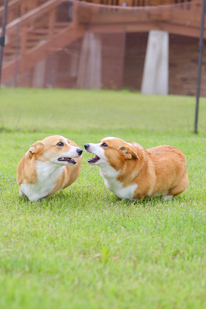 おすすめの過ごし方