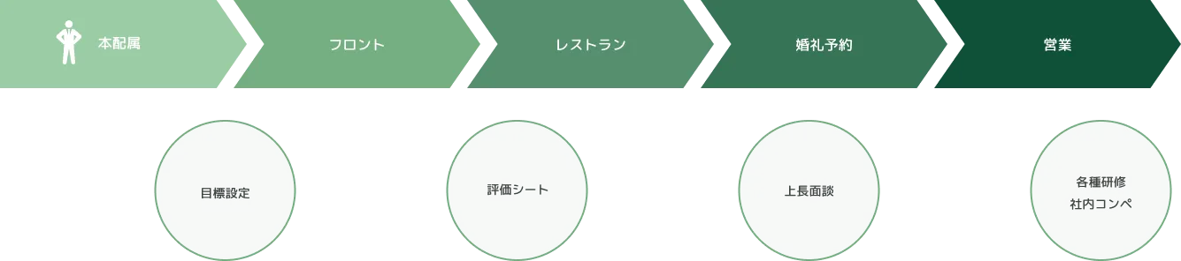 2年目社員 キャリアパス