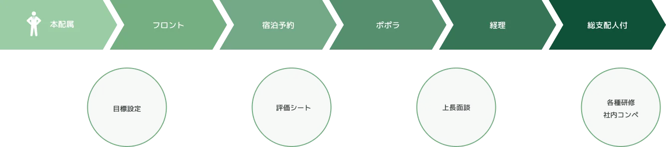 2年目社員 キャリアパス