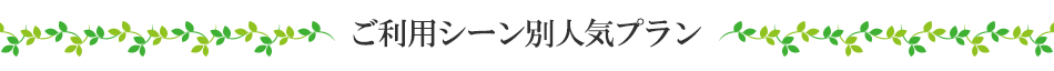 ベルナティオの魅力
