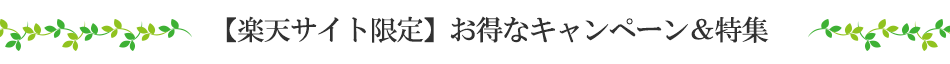 ベルナティオの魅力