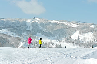 冬のベルナティオ