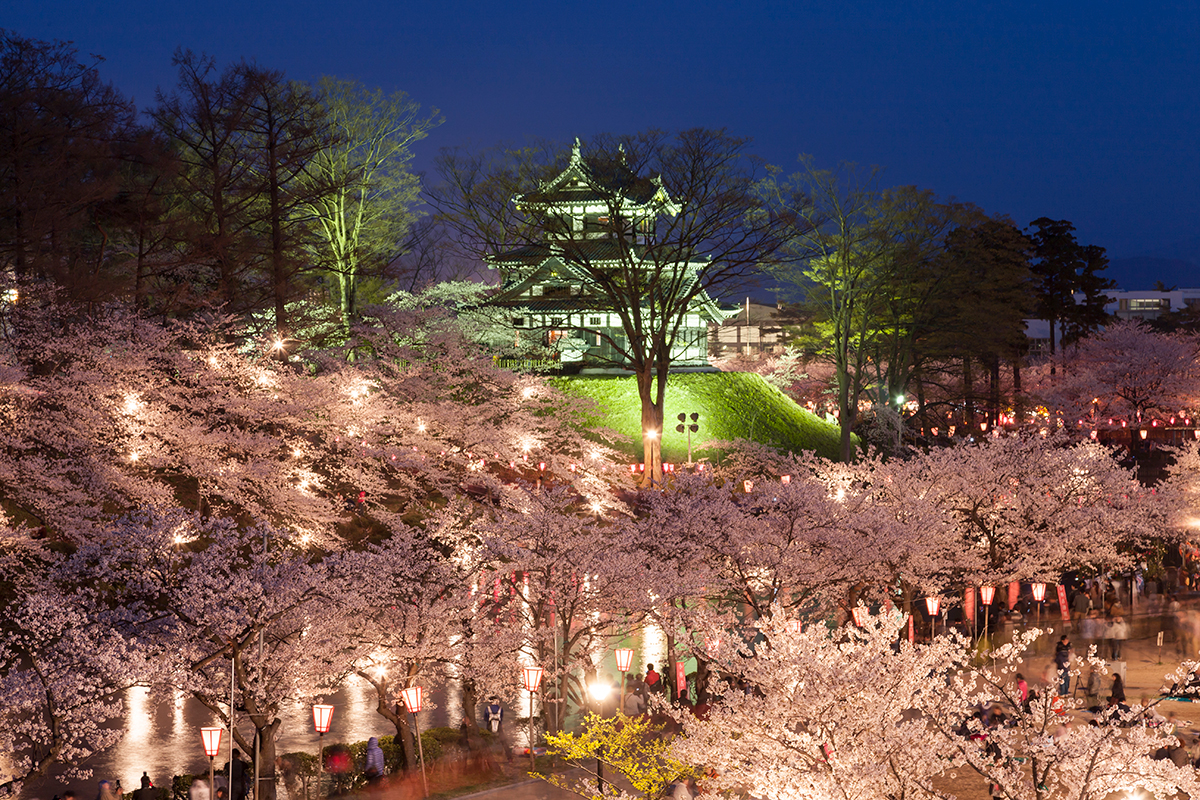 【半日ツアー/夕方出発】<br>日本三大夜桜 高田城址公園の桜