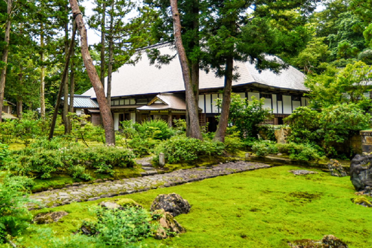 【半日ツアー/午前出発】<br>苔むす庭園貞観園と門出和紙